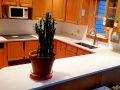 countertops024